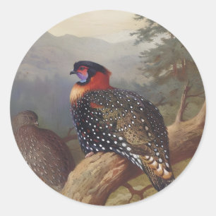 Adesivo Trama Ocidental, Ilustrações de Aves
