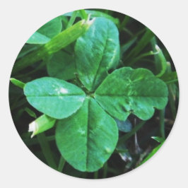 Adesivo Trèfle à quatre feuilles Sticker