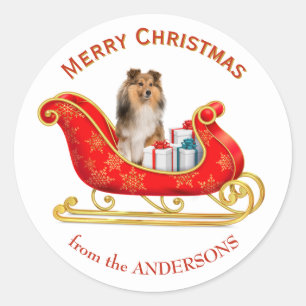 Adesivo Trenó de Natal Shetland Sheepdog