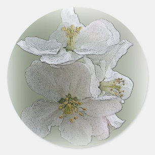 Adesivo três flores brancas