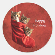 Três gatinhos numa meia de Natal Stickers