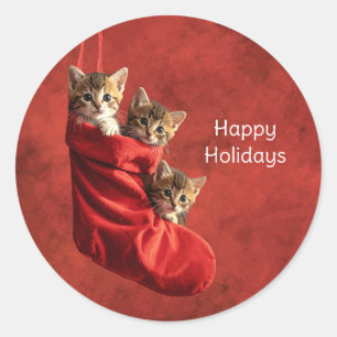 Adesivo Três gatinhos numa meia de Natal Stickers