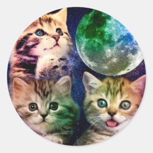 Adesivo Três gatos e a lua