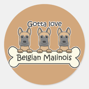 Adesivo Três Malinois belgas