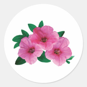 Adesivo Três petúnias cor-de-rosa