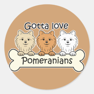 Adesivo Três Pomeranians