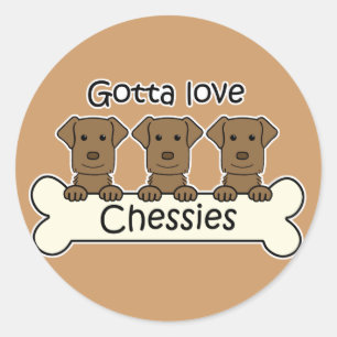 Adesivo Três Retrievers de baía de Chesapeake