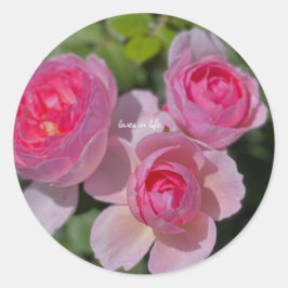 Adesivo Três Rosas Pink Bonitas