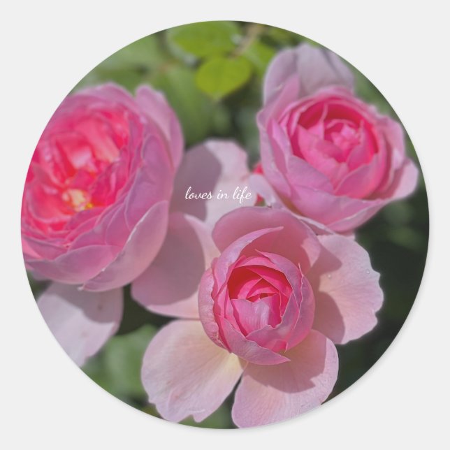 Adesivo Três Rosas Rosa Bonito (Frente)