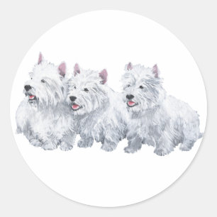 Adesivo Três West Highland White Terriers