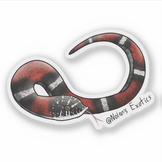 Adesivo Tri-color Hognose sticker (Frente)