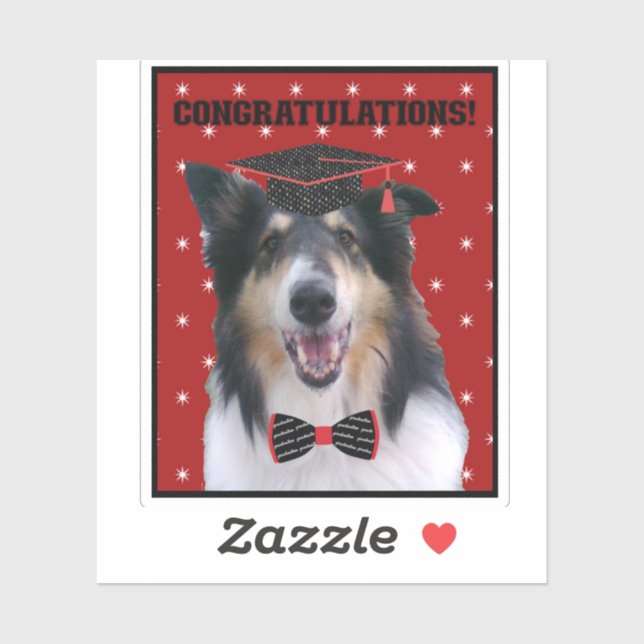 Adesivo Tri Rough Collie Congratulations Graduate (Folha)