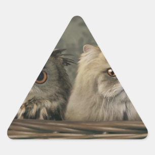 Adesivo Triangular 3 Gatos e uma Coruja num Cesto