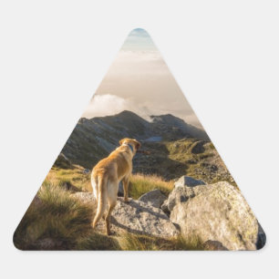 Adesivo Triangular A jornada