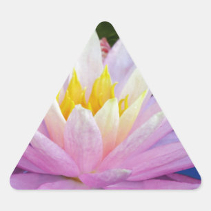 Adesivo Triangular Água Rosa Suave