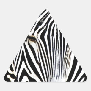 Adesivo Triangular Aguardando_