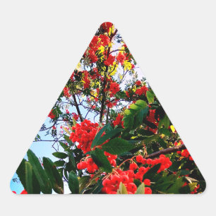 Adesivo Triangular Airelas vermelhas