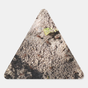 Adesivo Triangular Ants Go Marching