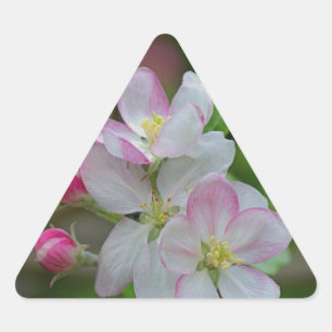 Adesivo Triangular Apple floresce