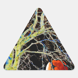 Adesivo Triangular Ascensão da Lua Vermelha