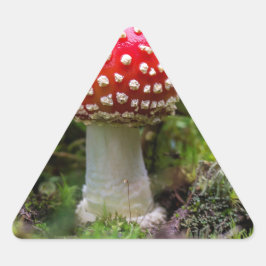 Adesivo Triangular Autumn Beauty