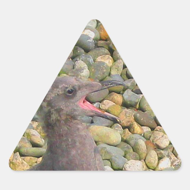 Adesivo Triangular Baby Gull Sticker (Frente)