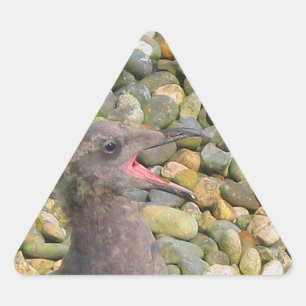 Adesivo Triangular Baby Gull Sticker