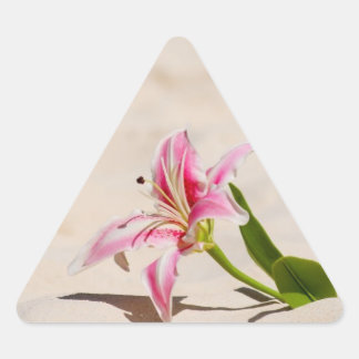 Adesivo Triangular Beach Lily Sticker