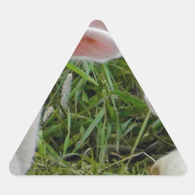 Adesivo Triangular Bebê Animal Gêmeo Cordeiro Pensando Em Você (Frente)