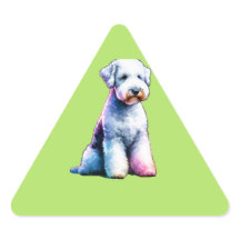 Bedington Terrier Dog