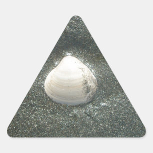 Adesivo Triangular Bela Concha Marinha na Areia: Uma Lembrança Salgad