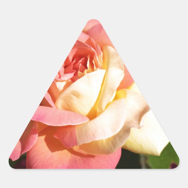 Adesivo Triangular Bonito flor rosa e rosa amarela. Floral (Frente)