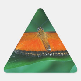 Adesivo Triangular Borboleta laranja brilhante e preta na folha