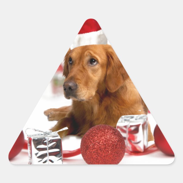 Adesivo Triangular Cachorro do ouro W Red Santa Hat Natal (Frente)
