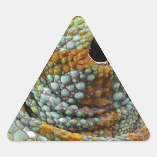 Adesivo Triangular Cameleon Eye Mod Na moda Animal (Frente)