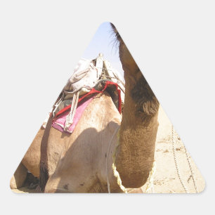 Adesivo Triangular Camelo Deserto Oriente Médio Paz Amor Natureza Des