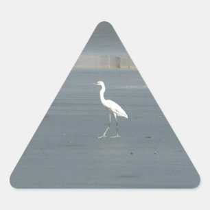 Adesivo Triangular Caminhando solo.JPG