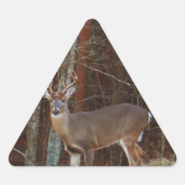 Adesivo Triangular Camuflagem Stag / Buck Deer Oak (Frente)