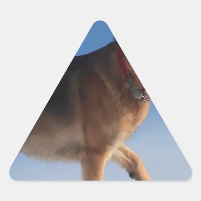 Adesivo Triangular Cão De German shepherd Saudável E Feliz (Frente)