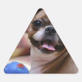 Adesivo Triangular Cão super bonito com sua bola favorita