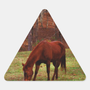 Adesivo Triangular Cavalo castanho com nariz branco na borda do bosqu