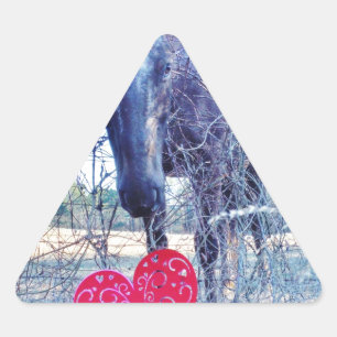 Adesivo Triangular Cavalo e Coração
