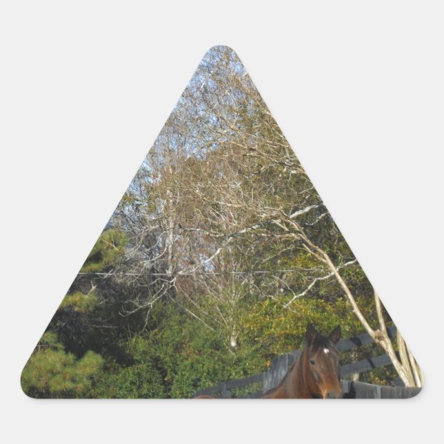 Adesivo Triangular Cavalo Marrom Contra uma Cerca (Frente)