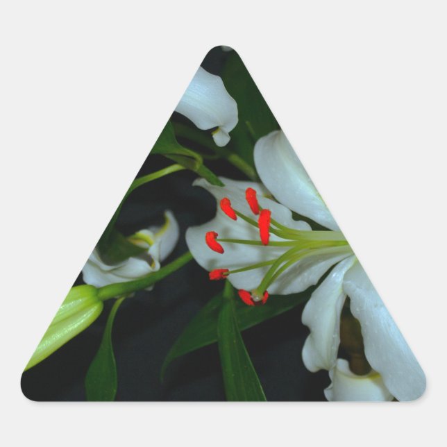 Adesivo Triangular Coleção de Design e Flores irlandesas (Frente)