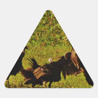 Adesivo Triangular Combater os Perus Selvagens nas Montanhas do Enfum