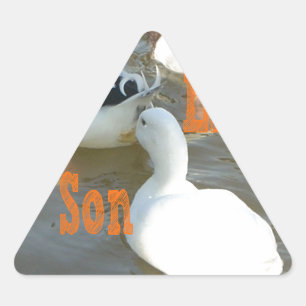 Adesivo Triangular Como Pai Como Filho.