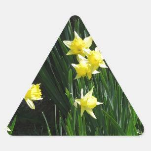 Adesivo Triangular Daffodils do primavera