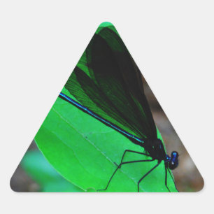 Adesivo Triangular Damselfly azul em uma folha verde.