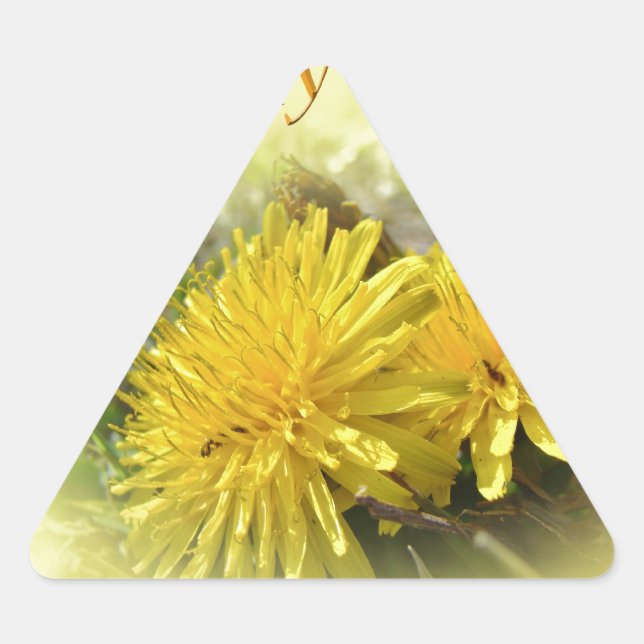 Adesivo Triangular Dandelions - Um Sunny Hi (Frente)