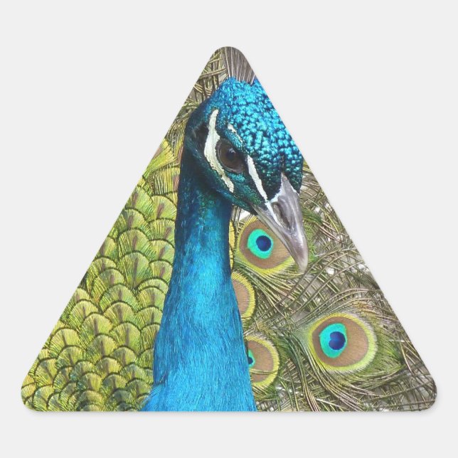 Adesivo Triangular Design o seu próprio Triângulo Personalizado com A (Frente)